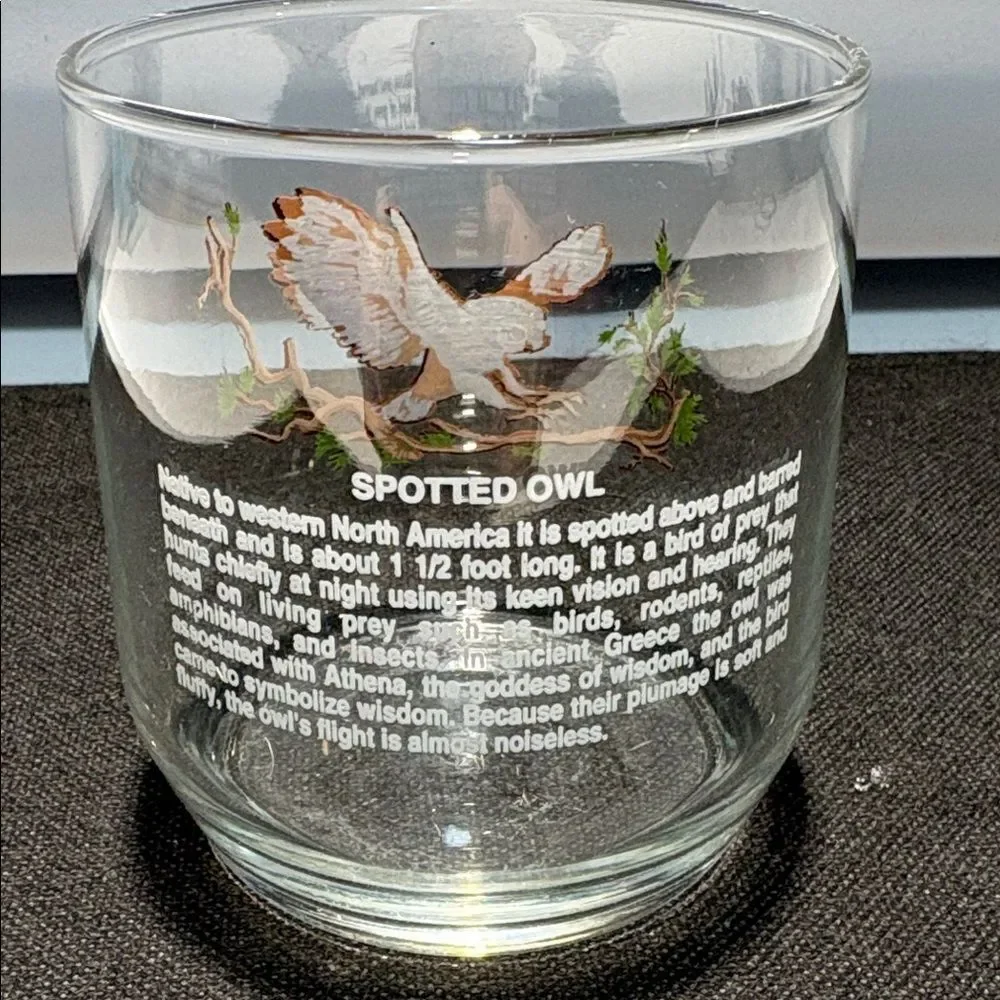 One Owl Design drink Glass